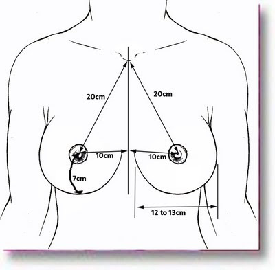 normal breast proportions